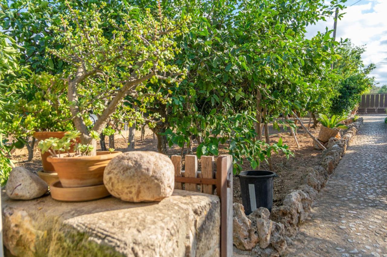 Son Matginet 18 Sineu (Mallorca)